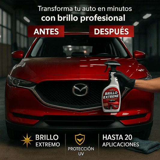 Brillo Extreme®: el secreto de los profesionales en tus manos